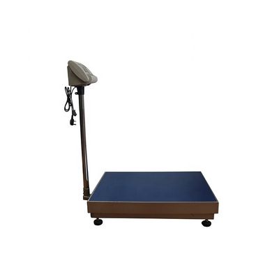 450*600mm Stainless Steel Bench Scale 100Kg-600Kg with Design and Customized Support