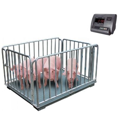 Electronic Floor Weighing Scale for Animals 1M 2t Pig Scale 3t Sheep Cow Accuracy 0.5kg