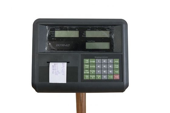 Truck Scale Indicator A9 Optional Display Type for Weighbridge Precise Weighing Result