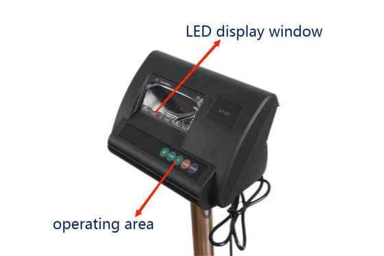Customized Support Weighbridge Indicator A12 for Optional Display Type Platform Scale