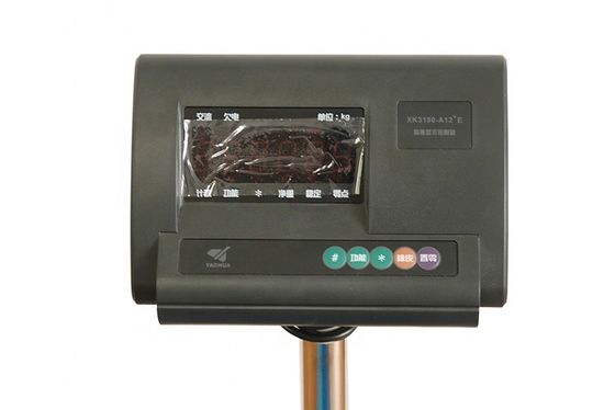 Customized 400kg Digital Platform Scale with Carbon Steel and 500kg Weight Function