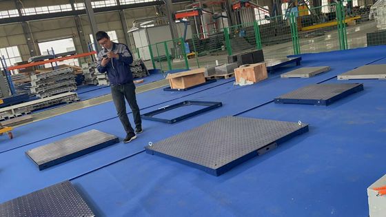 Charge or Battery Display Type 1.2M 2T Pig Scale for Animals Customized Support OEM