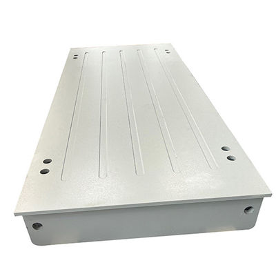 Customized 1t 2t 3t 5t Electronic Floor Weighing Scale for Animals and Customized Size