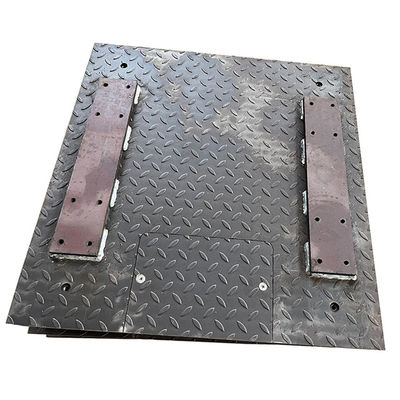 Customized 1t 2t 3t 5t Electronic Floor Weighing Scale for Animals and Customized Size
